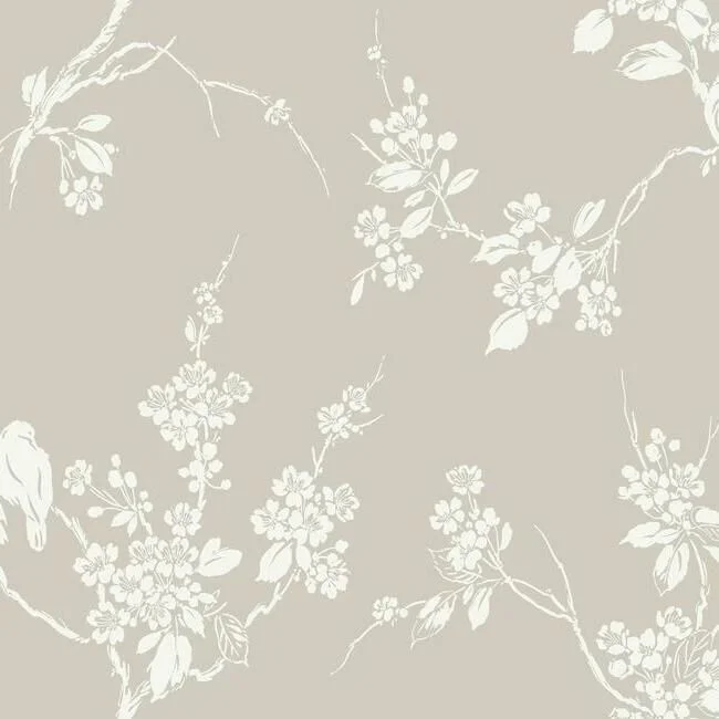 Wallpaper room wrap-Best wallpaper for beige tones-Imperial Blossoms Branch Wallpaper in Taupe from the Silhouettes Collection