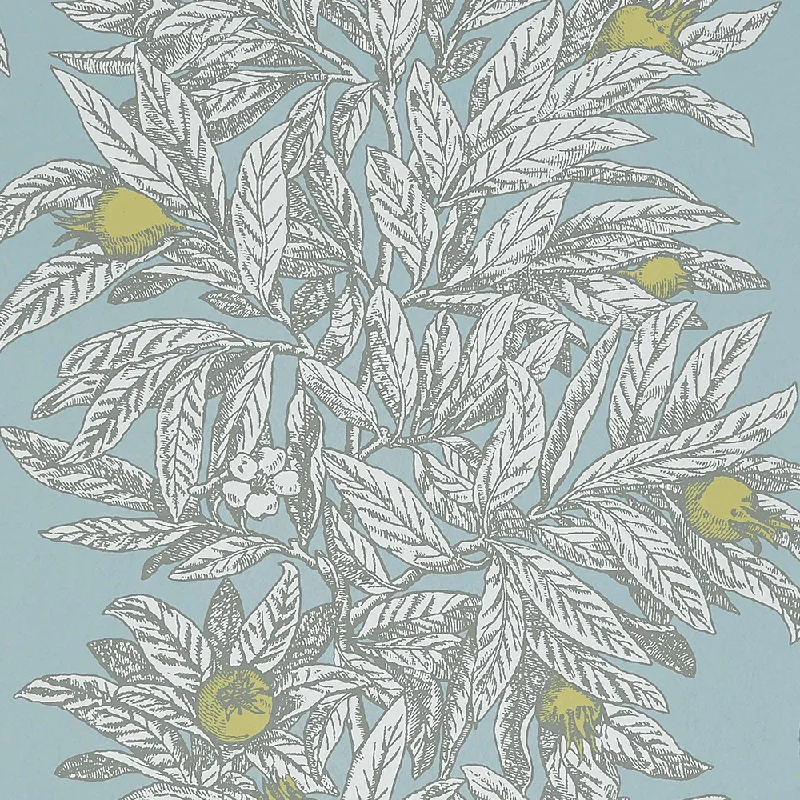 Wallpaper home project-Removable wallpaper for bathrooms-Medlar Wallpaper in Sky and Chartreuse from the Mansfield Park Collection by Osborne & Little