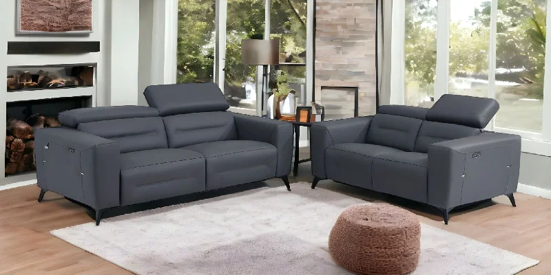 Sofa with subtle addition-2 Piece Five Person Indoor Italian Leather Seating Set - Gray