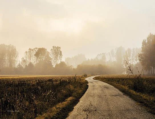 Wall Decor with artistic flair-Country Road By Susan Ball (Framed) - Light Brown