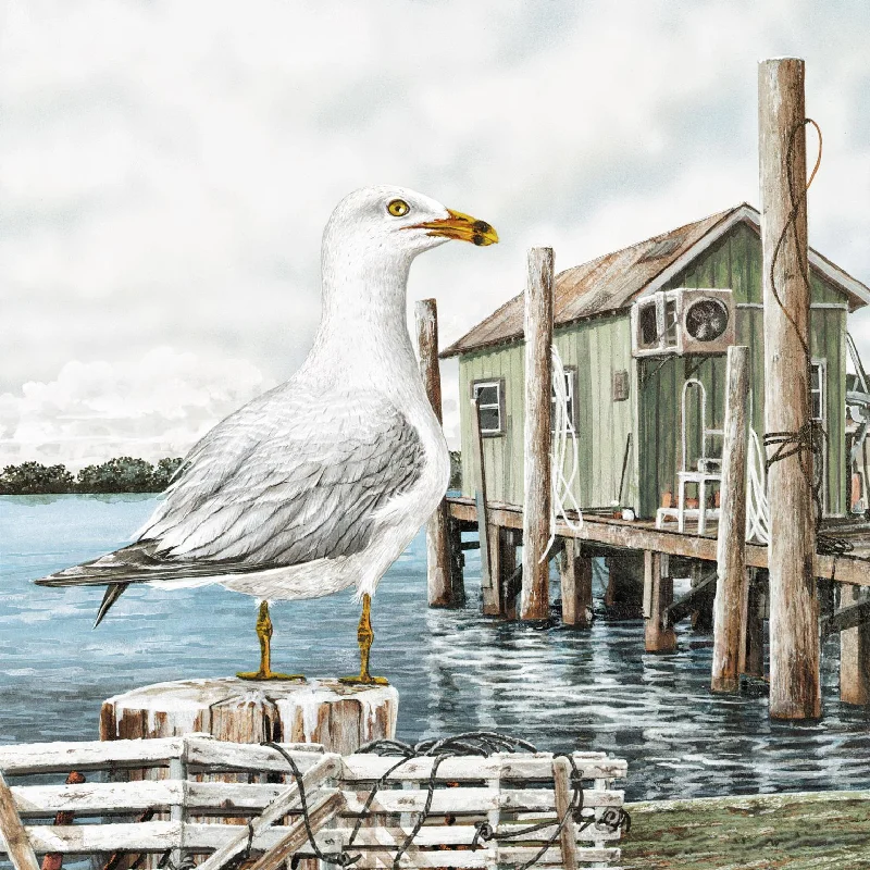 Wall Decor for cool rooms-Majestic Seagull By James Harris - Gray