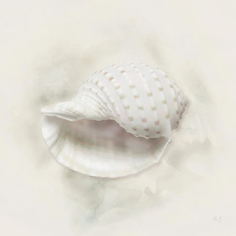 Wall Decor with modern charm-Soft Sand And Shell Iv By Susan Jill - Beige